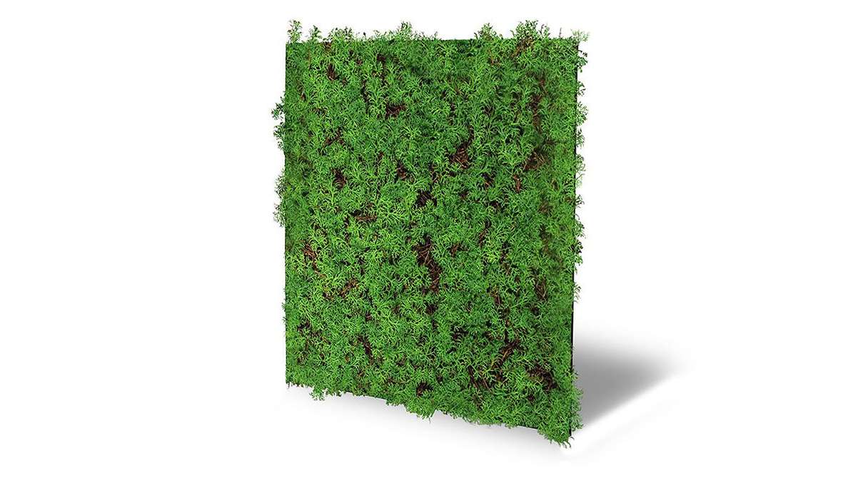 planeo Panneau acoustique - MixWall Living Leaf Thuja Tea Tree 52 x 52 cm | Plante naturelle (PLMW-50111)