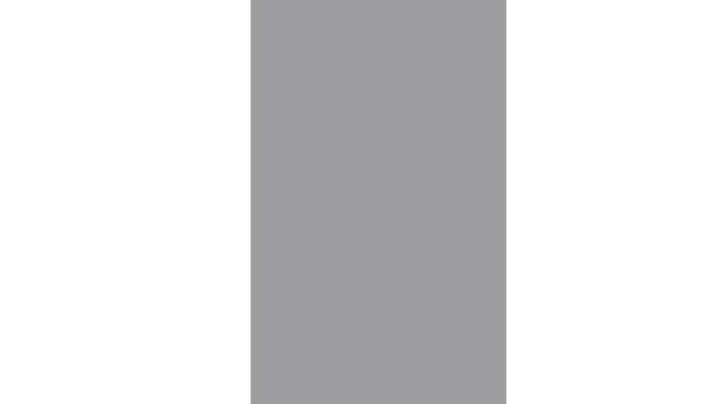 planeo Gardence Flair - Brise vue Verre Vertical Satiné 120 x 180 cm