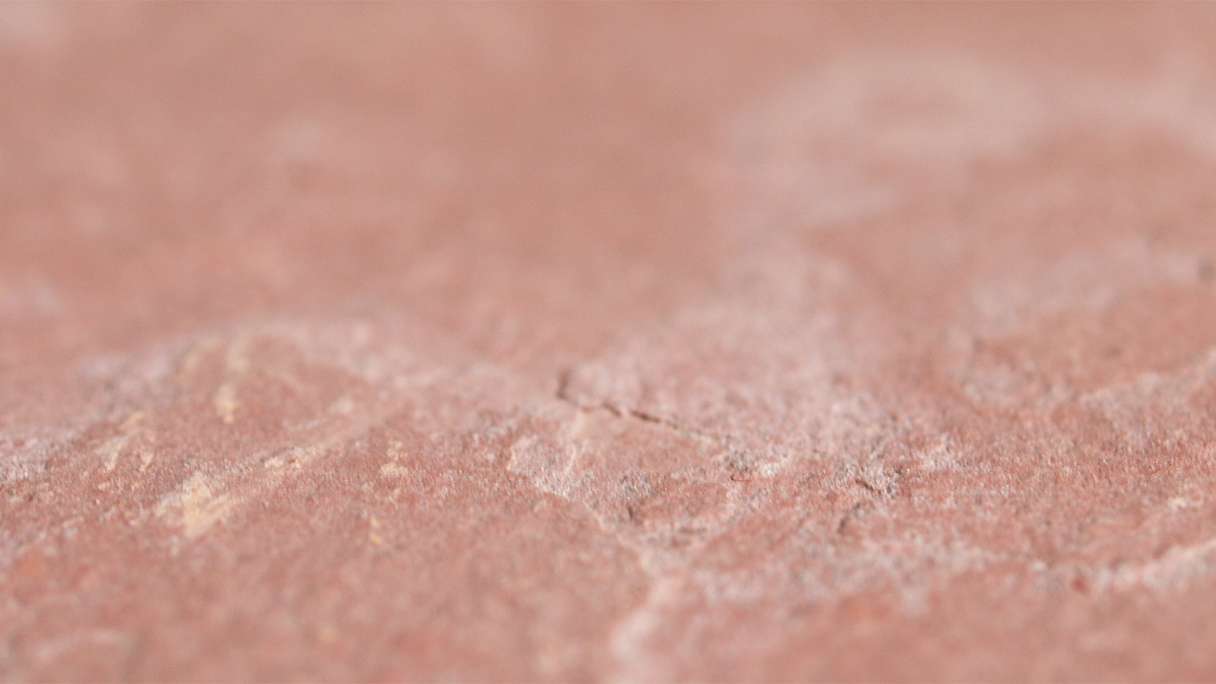 planeo EVOLITH Slate&Stone - revêtement mural en pierre naturelle Ross Clay 1220 x 610 mm