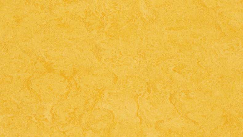 planeo linoleum clipsable Linoklick - Zeste de citron - 333251