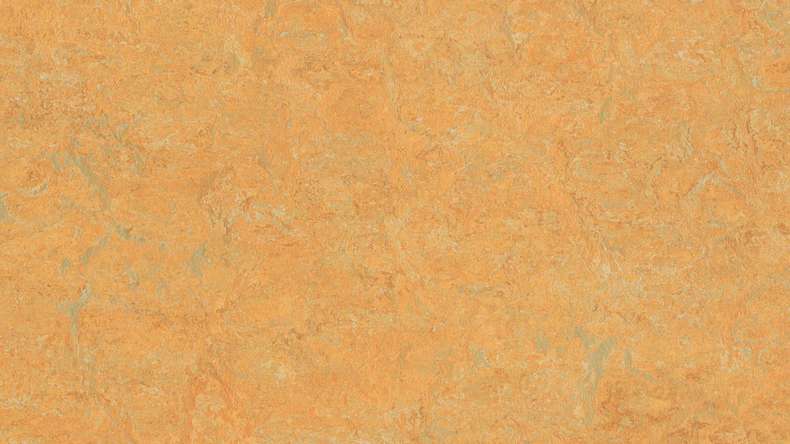 Forbo Linoleum Marmoleum Real - safran doré 3847 2.5