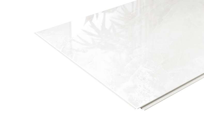 planeo StrongWall - Revêtement mural en plastique Evo 65 x 37,5 cm brillant