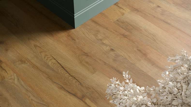 planeo Vinyle à coller - Objet Woodline chêne doré | Gaufrage synchrone (PLDD2570-EGO)