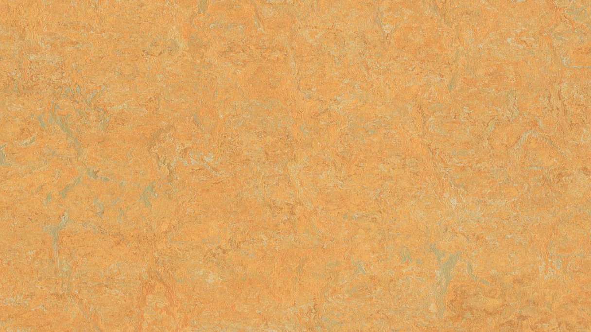 Forbo Linoleum Marmoleum Real - safran doré 3847 2.5