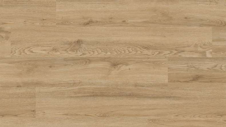 planeo Vinyle à clic rigide - FlexCore 55 Oyster Oak | Isolation phonique intégrée (plfc-5220FS55)