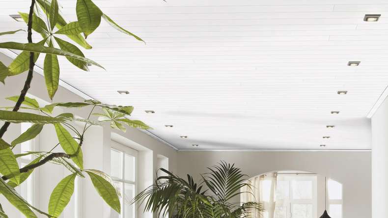 MeisterPanels lambris décor - Bocado 250 Fineline blanc
