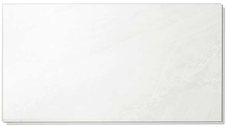 planeo StrongWall - Revêtement mural en plastique Evo 65 x 37,5 cm brillant