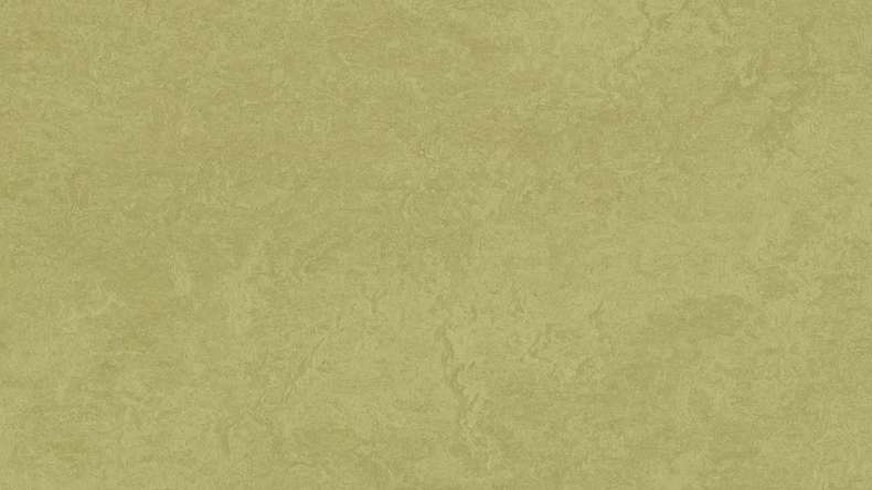 Forbo Linoléum Marmoleum Fresco - avocado 3265