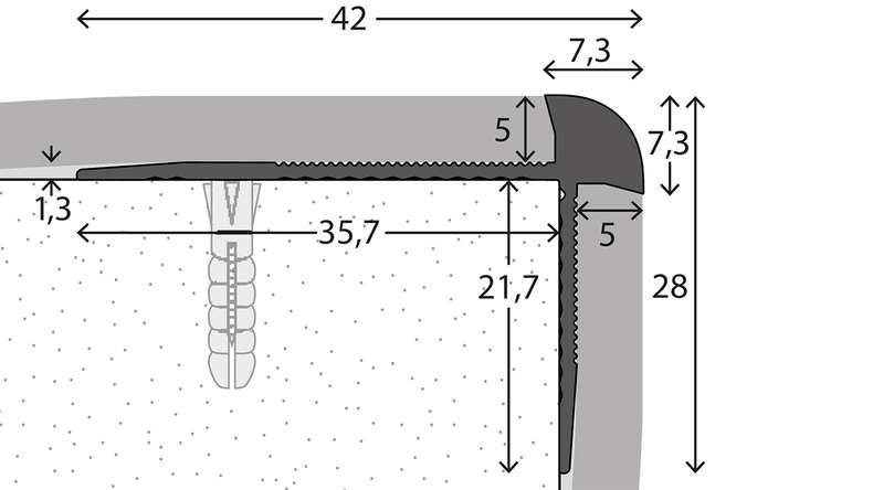 planeo Profilé pour nez de marche 881 - 250 cm