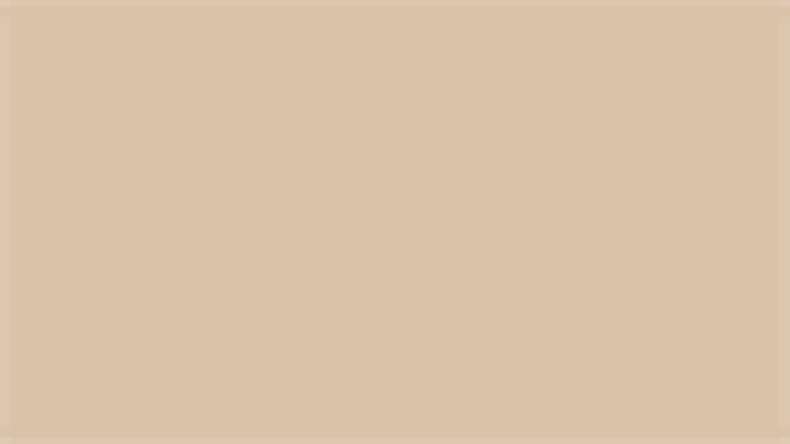 planeo bois joint Woodflex chêne blanc 290 ml