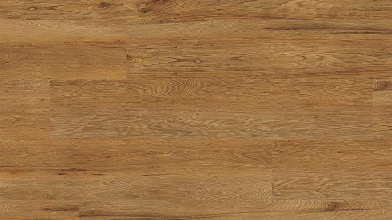 Project Floors Sols biologiques - ECO+ Collection ECO 3841/30 (ECO384130)