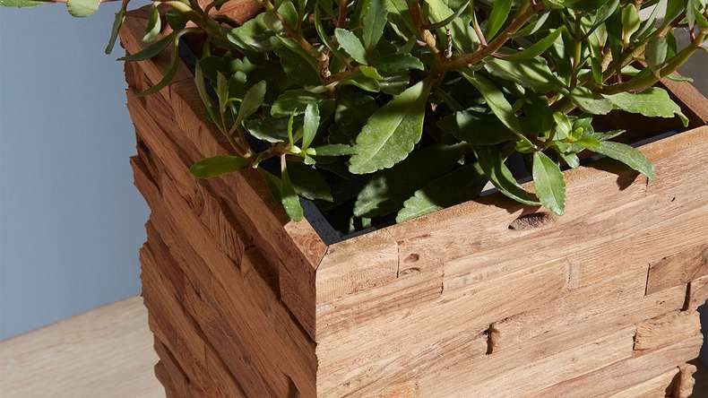 Skaben WoodWall - Teckwood Chic Sumatra Naturel