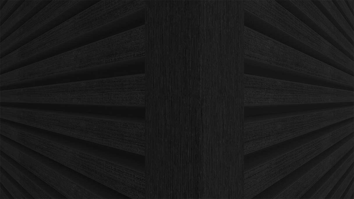 planeo LINEA Slim - Bardage de façade en WPC CoEx noir 2900 x 215 mm