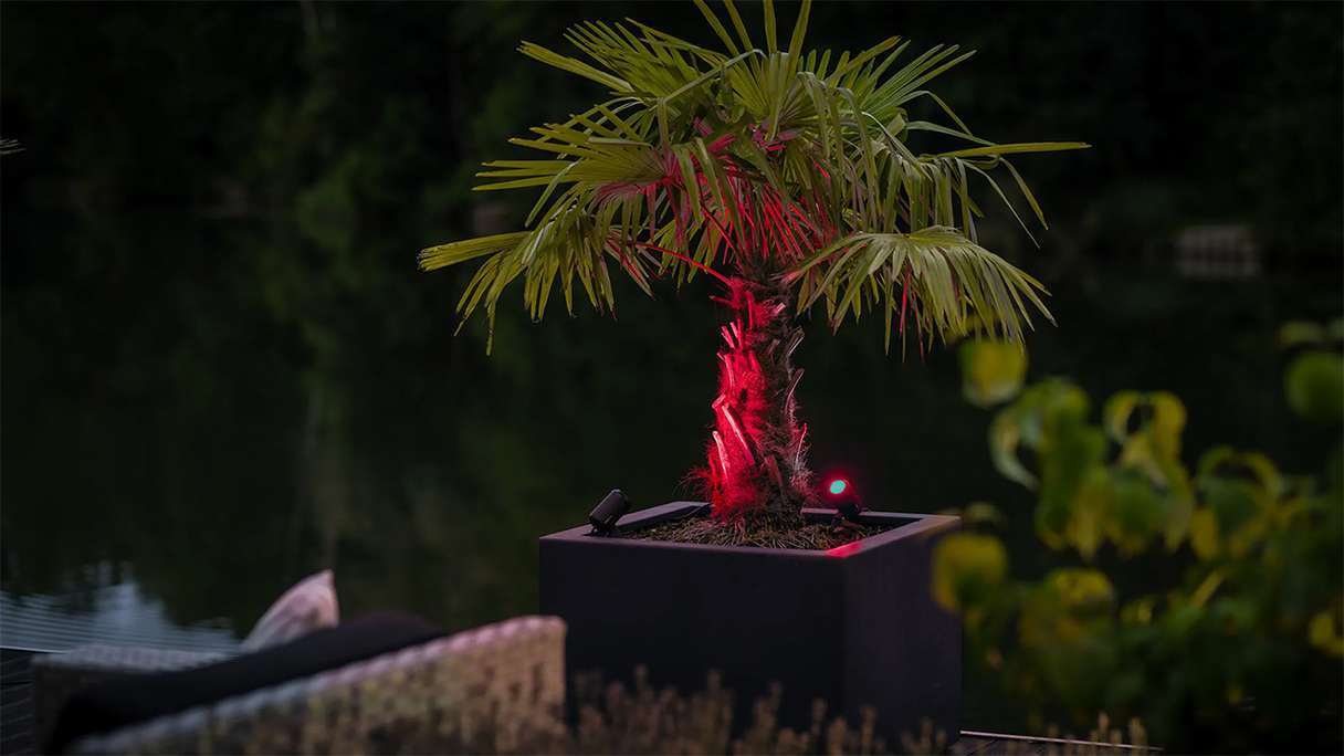 planeo Castor Smart 12V - Projecteur LED Zigbee