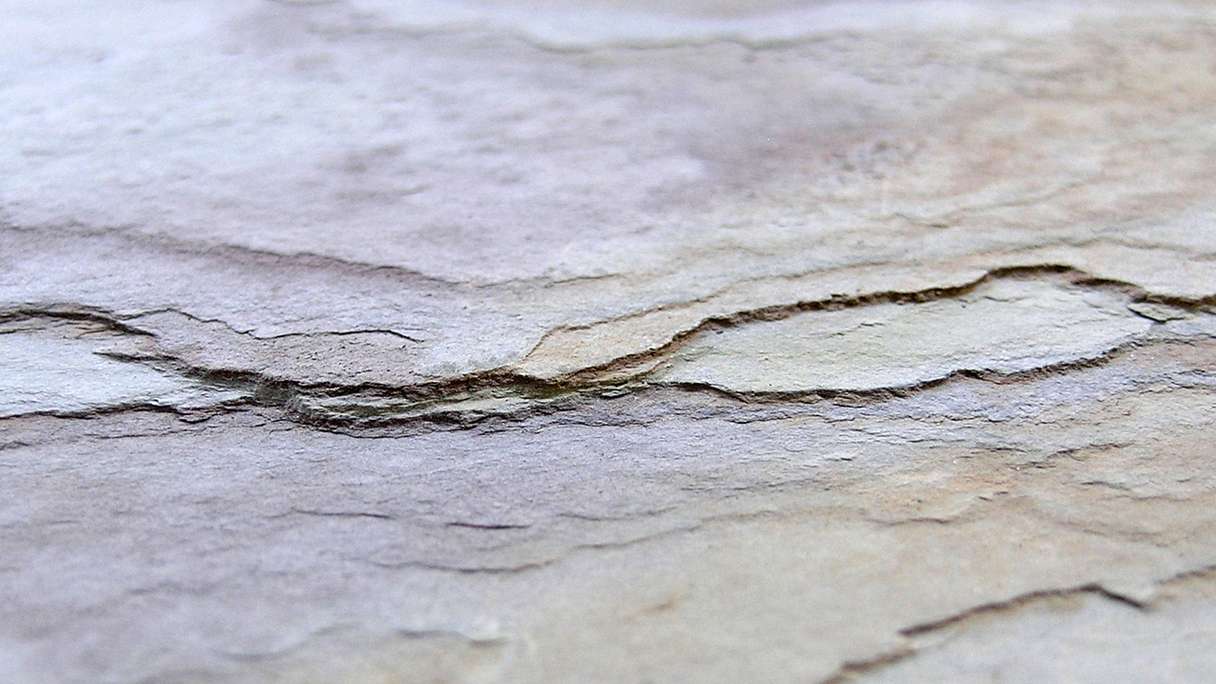 planeo EVOLITH Slate&Stone - Revêtement mural en pierre naturelle Autumn Drift 1220 x 610 mm