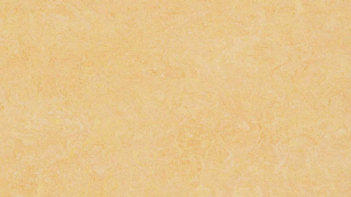 Forbo Linoleum Marmoleum Fresco - corn naturel 3846 2.5