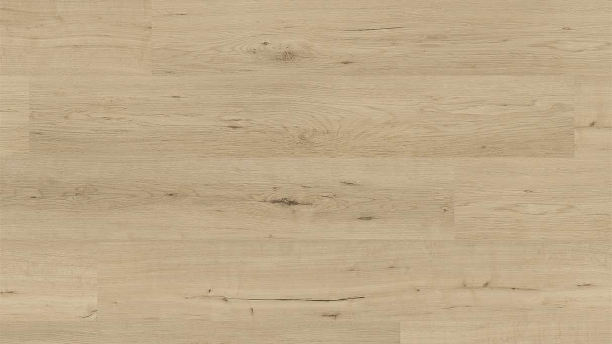planeo Vinyle à clic rigide - FlexCore 55 Misty Oak | Isolation phonique intégrée (plfc-5023FS55)