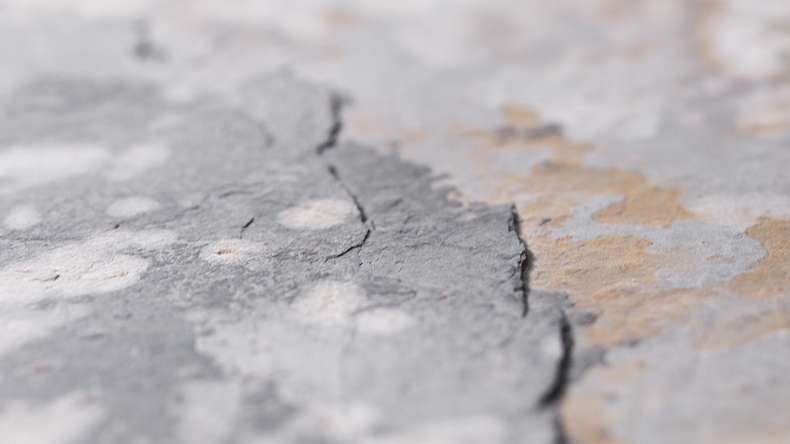 planeo EVOLITH Slate&Stone - revêtement mural en pierre naturelle Terracrust 1220 x 610 mm