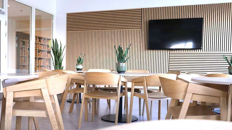 planeo Panneaux acoustiques - chêne naturel 2480 x 600x 21.5 mm | ignifugé