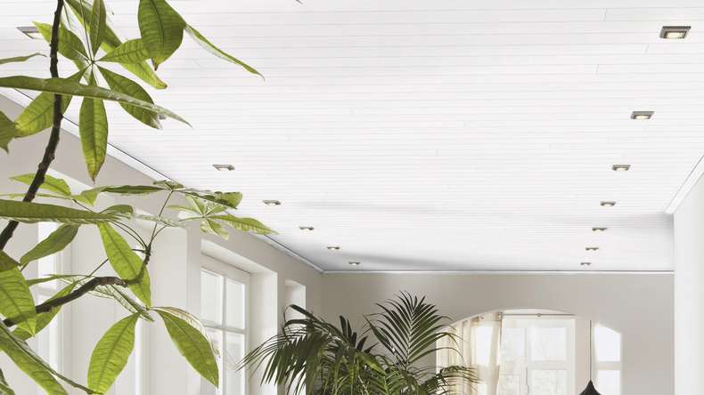 MeisterPanels lambris décor - Bocado 250 Fineline blanc 4029