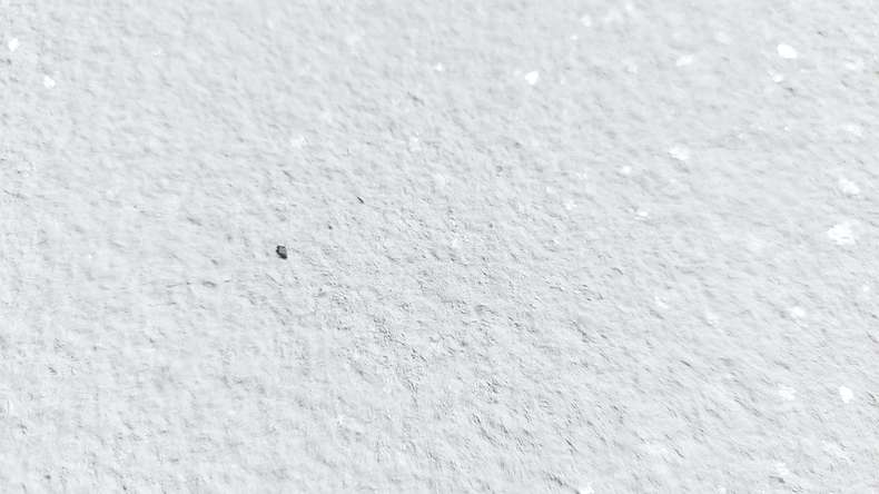 planeo EVOLITH Slate&Stone - revêtement mural en pierre naturelle Crystal White 1220 x 610 mm
