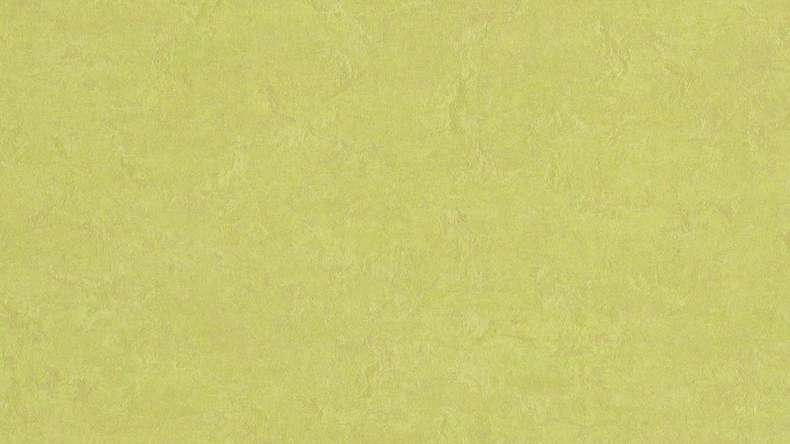 planeo linoleum clipsable Linoklick - Bourgeons de printemps - 333885