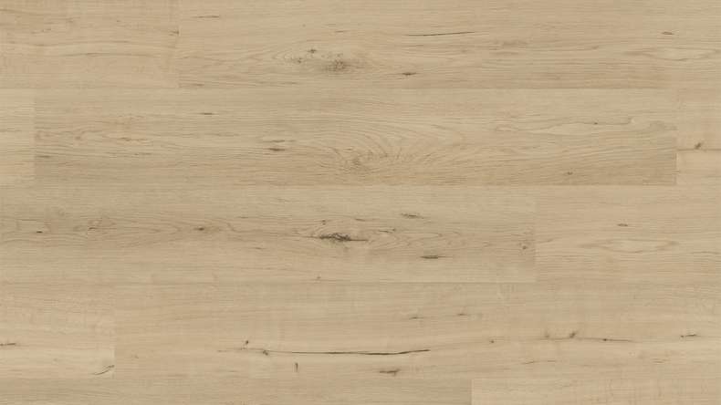 planeo Vinyle à clic rigide - FlexCore 55 Misty Oak | Isolation phonique intégrée (plfc-5023FS55)