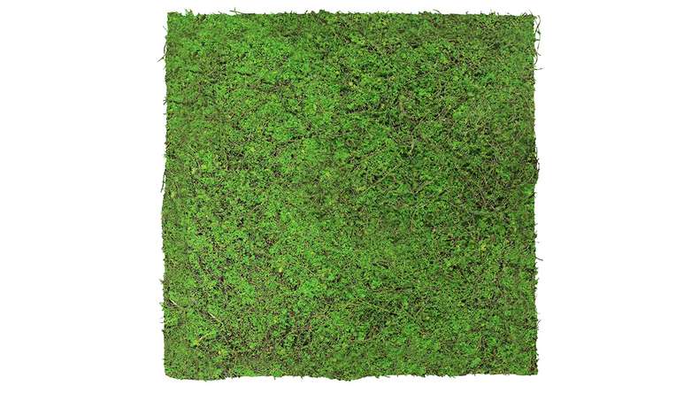 planeo Panneau acoustique - MixWall Living Leaf Forest Green Ancient Tree 52 x 52 cm | Plante naturelle (PLMW-70111)