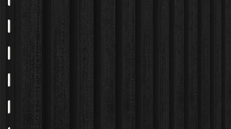 planeo LINEA Slim - Bardage de façade en WPC CoEx noir 2900 x 215 mm