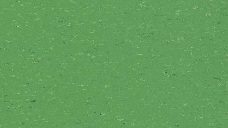 Forbo Linoleum Marmoleum Uni Piano - vert tendre 3647