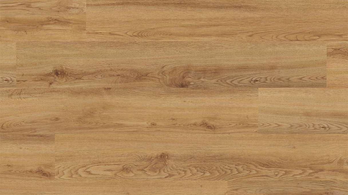 planeo Vinyle à clic rigide - FlexCore 30 Toffee Oak | Isolation phonique intégrée (plfc-5233FS30)