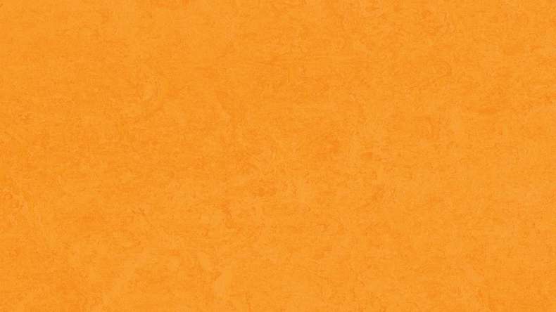 Forbo Linoléum Marmoleum Fresco - marigold 3262