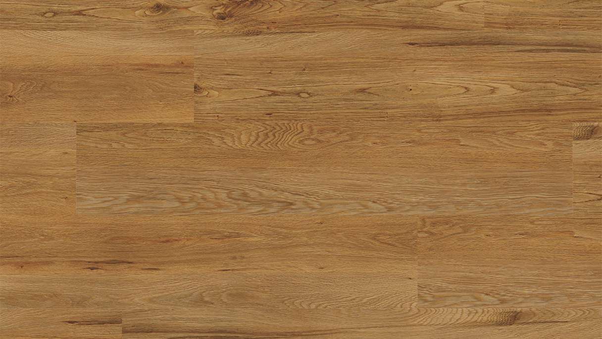 Project Floors Sols biologiques - ECO+ Collection ECO 3841/30 (ECO384130)