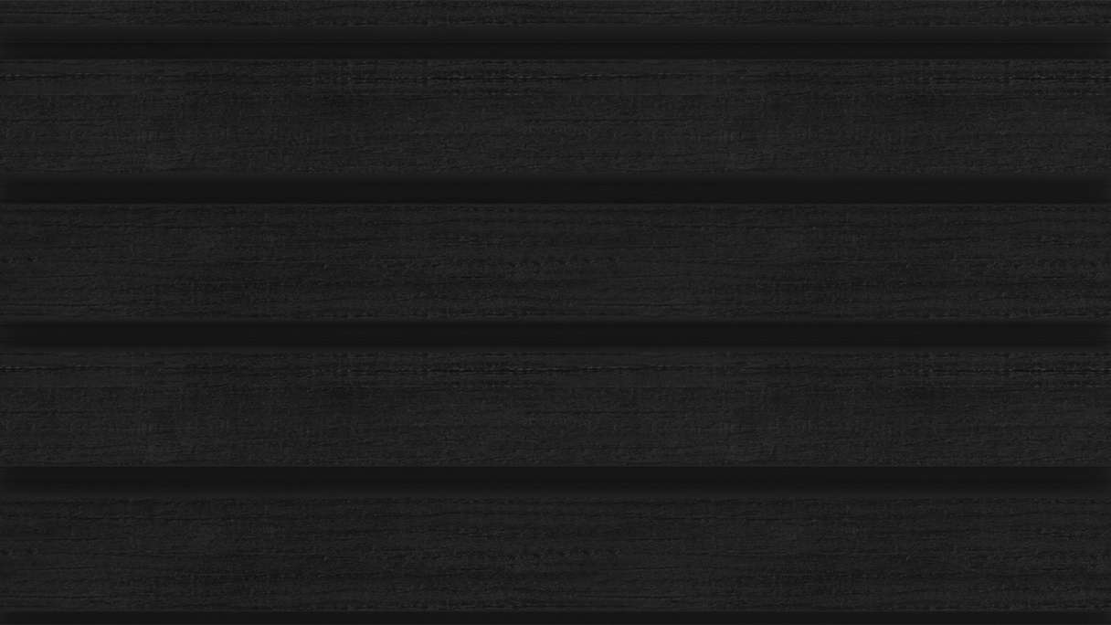 planeo LINEA Wide - Revêtement de façade en WPC CoEx, noir, 2900 x 181 mm