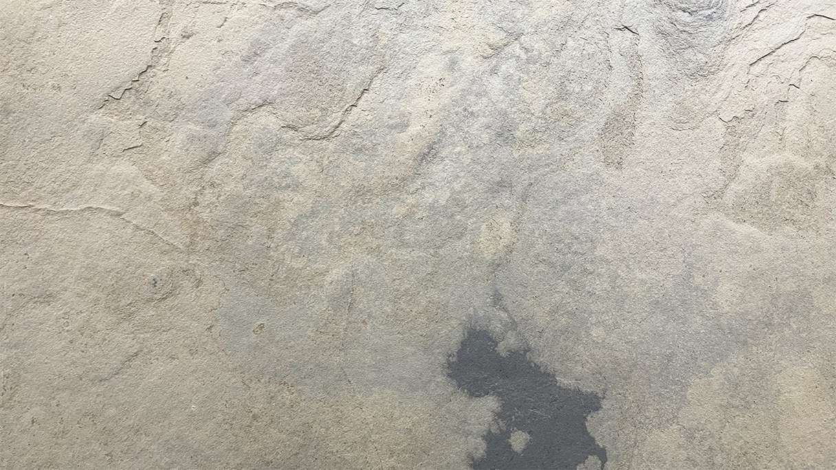 planeo EVOLITH Slate&Stone - Revêtement mural en pierre naturelle Siena Dust 1220 x 610 mm