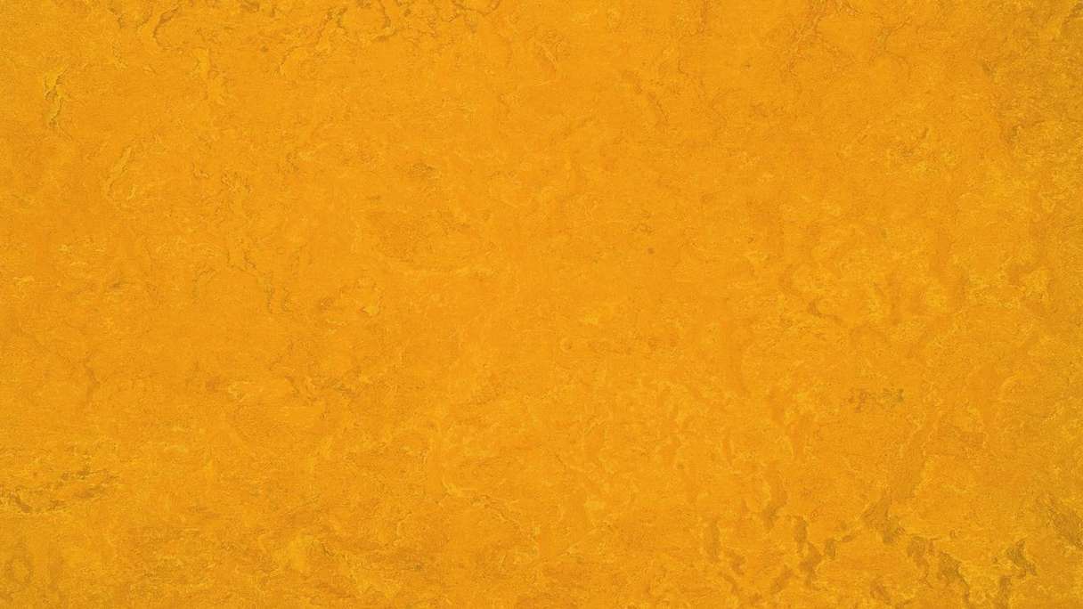 Forbo Linoleum Marmoleum Fresco - golden sunset 3125 2.5