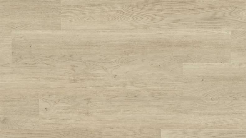 planeo Vinyle à clic rigide - FlexCore 30 Cream White Oak | Isolation phonique intégrée (plfc-5012FS30)