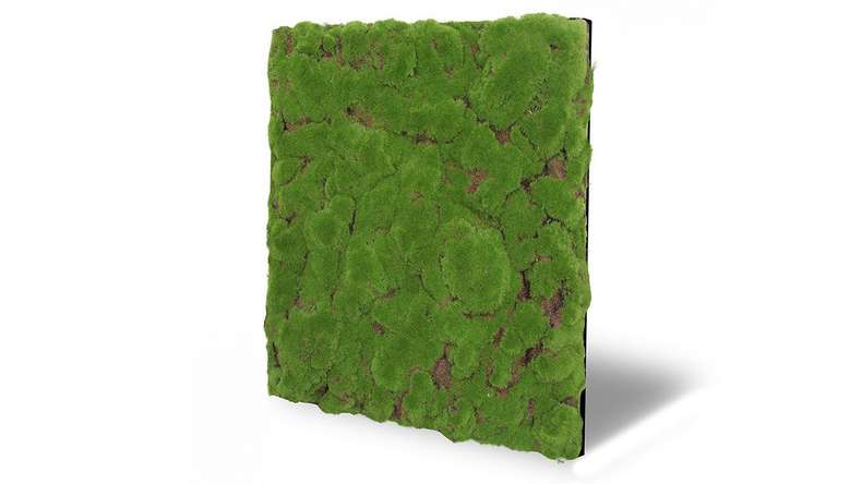 planeo Panneau acoustique - MixWall Moss Mood Forest Green Bulk 52 x 52 cm | Mousse artificielle (PLMW-20211C)
