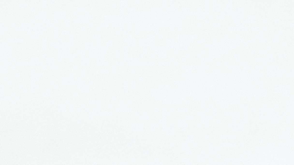 MeisterPanels lambris décor - Bocado 250 Blanc brillant