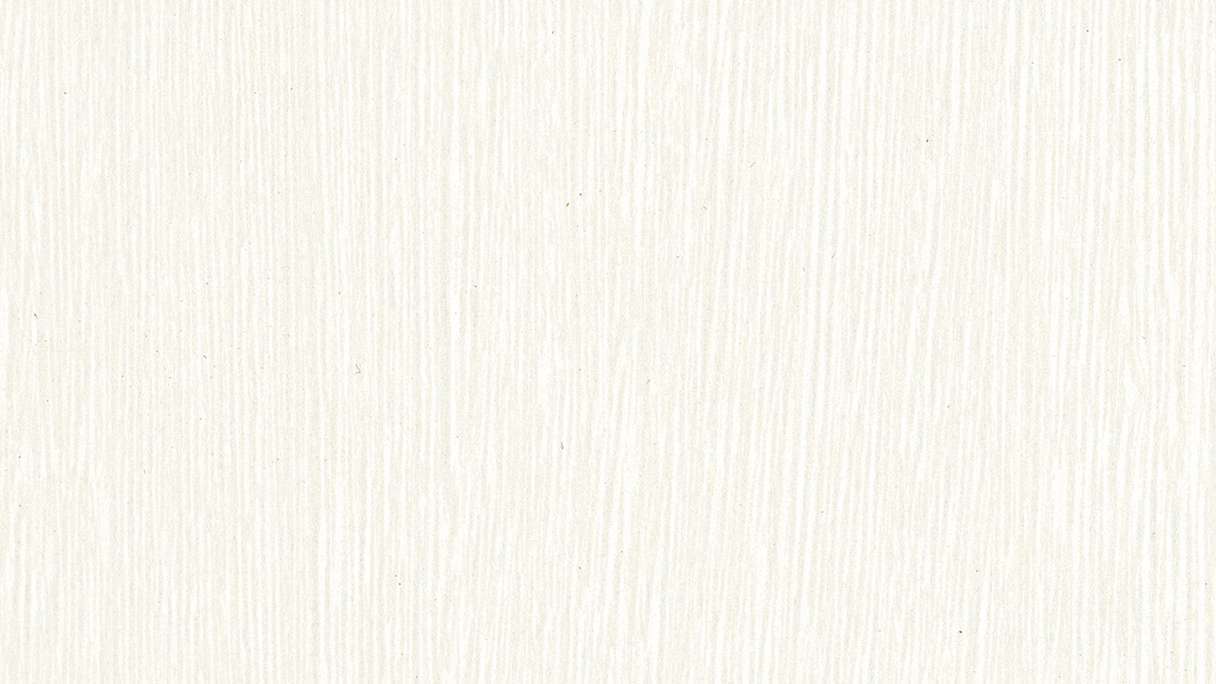 MeisterPanels lambris décor - Bocado 250 Fineline blanc