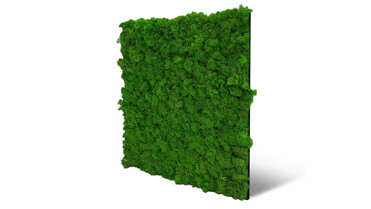 planeo Panneau acoustique - MixWall Living Moss Rich Green 52 x 52 cm | Mousse naturelle (PLMW-10111)