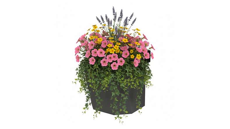 planeo Vario - Bac à fleurs 3
