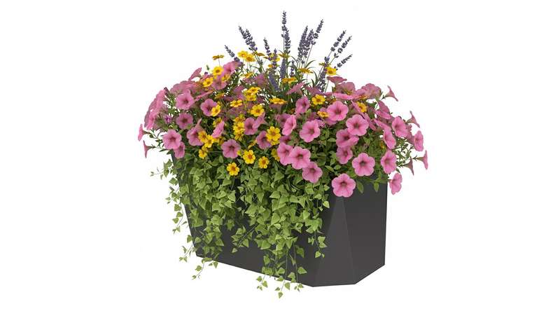 planeo Vario - Bac à fleurs 2