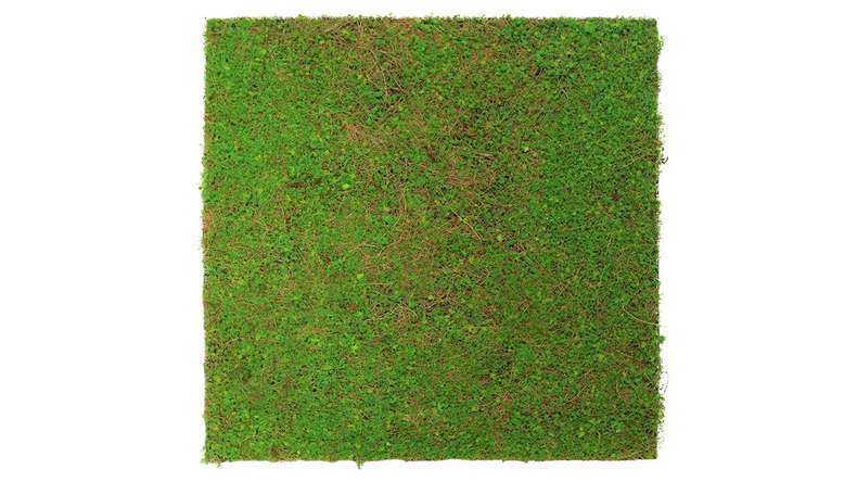 planeo Panneau acoustique - MixWall Living Leaf Light Green Coconut 52 x 52 cm | Plante naturelle (PLMW-60111)