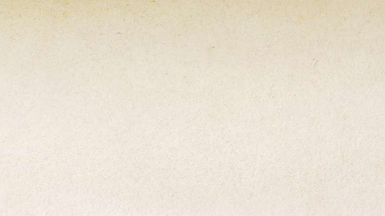 planeo EVOLITH Slate&Stone - Revêtement mural en pierre naturelle White Core 1220 x 610 mm