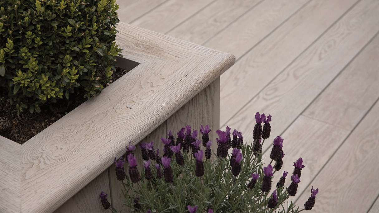 planeo Authoria PureBoard Plancher de terrasse massif - Light Lime Oak 3.6m structuré