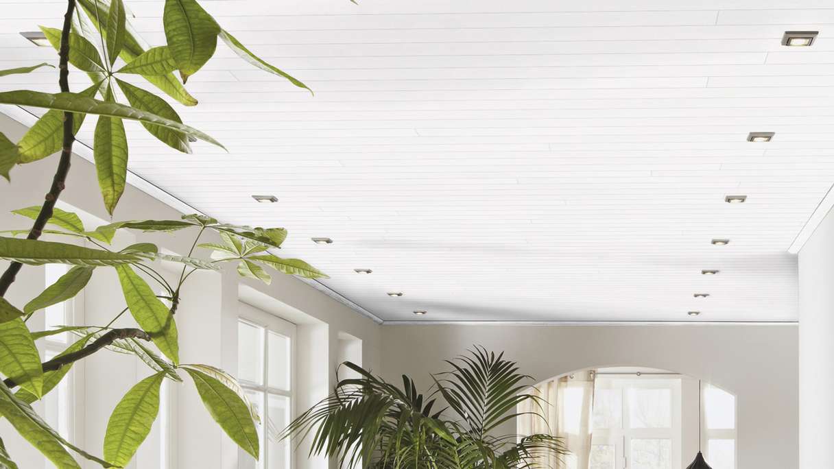 MeisterPanels lambris décor - Bocado 250 Fineline blanc