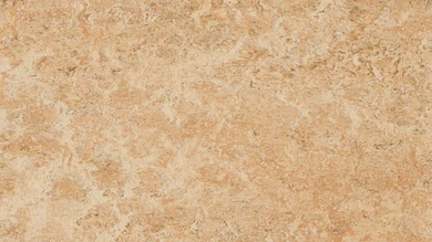 Forbo Linoléum Marmoleum Real - shell 3075 2.5