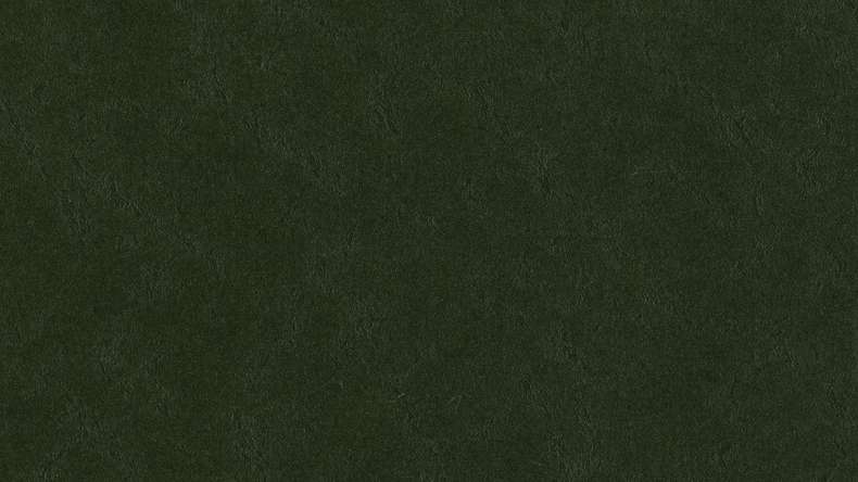 Forbo Linoléum Marmoleum Walton - bottle green 3359