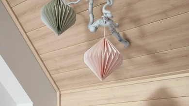 MeisterPanels lambris décor - Bocado 250 Hêtre pur 4094